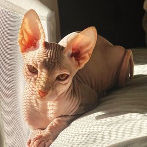 Meet your Posher, Whitney